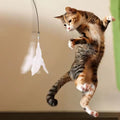 Jouet de pêche pour Chat